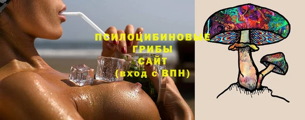 гашик Богородицк