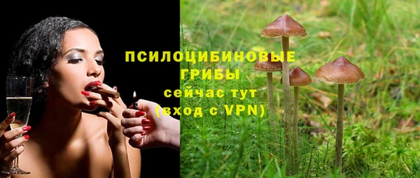 2c-b Богданович