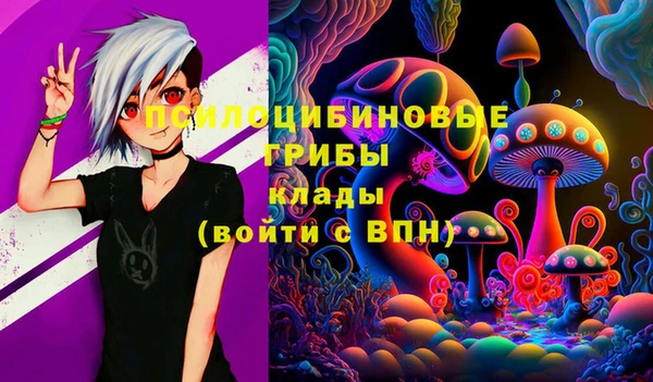 2c-b Богданович