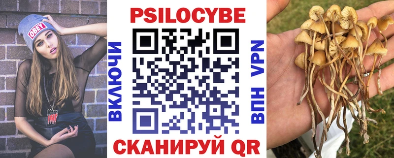 Псилоцибиновые грибы прущие грибы Коряжма